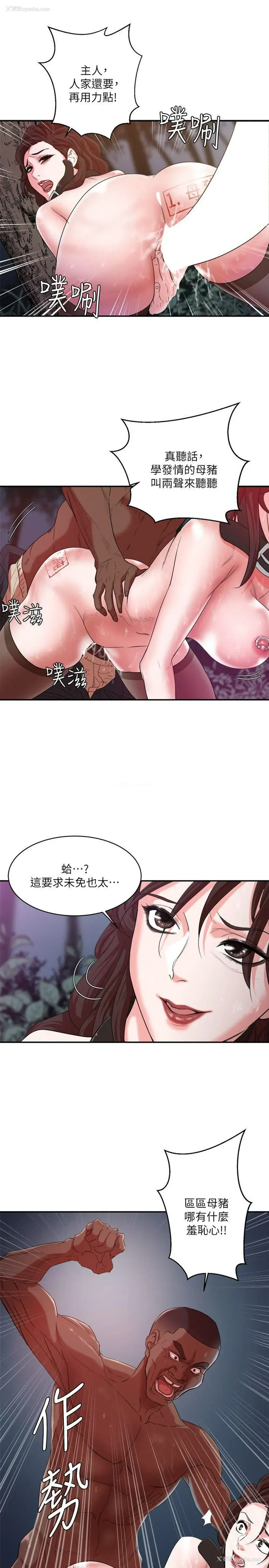 5P - 母猪养成计画