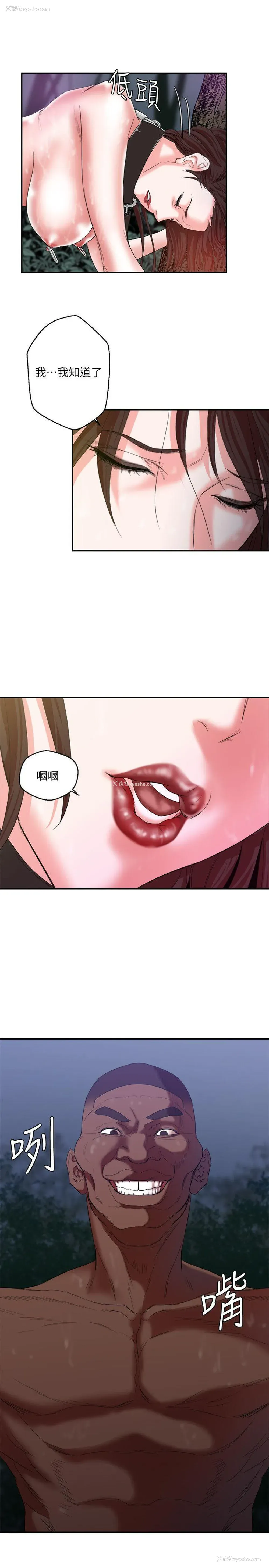 7P - 母猪养成计画