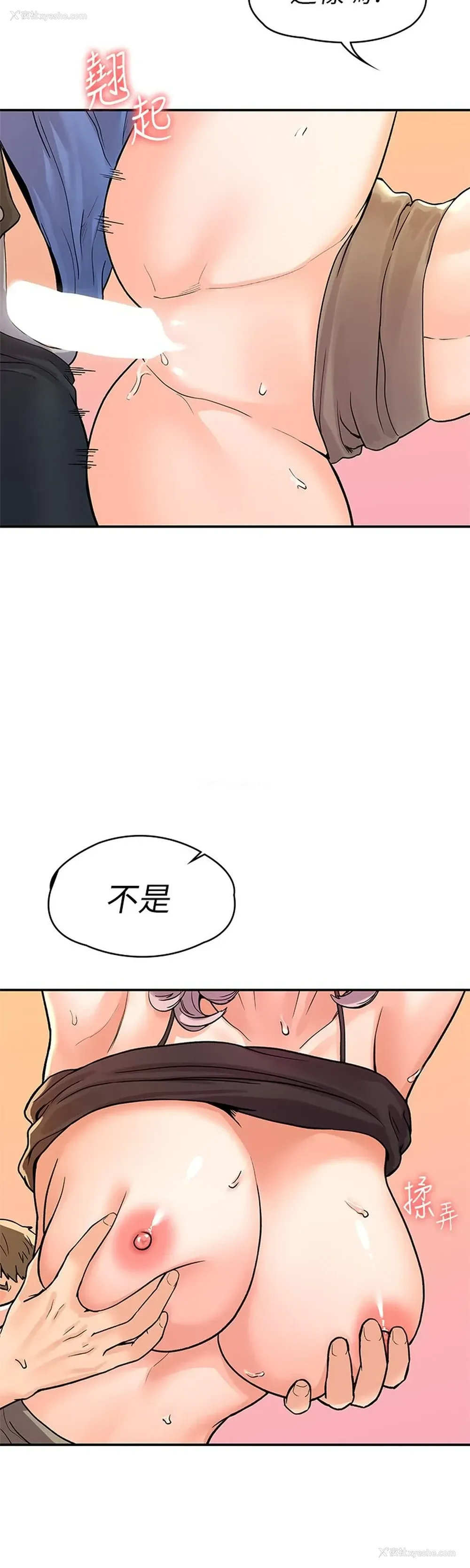13P - 大学棒棒堂