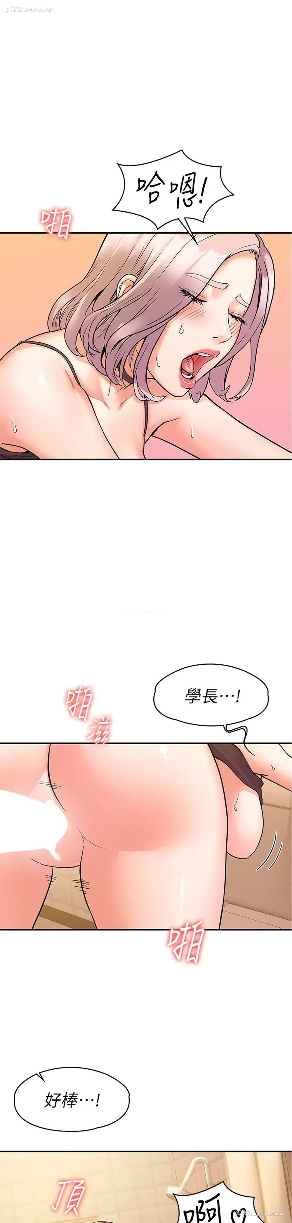 7P - 大学棒棒堂