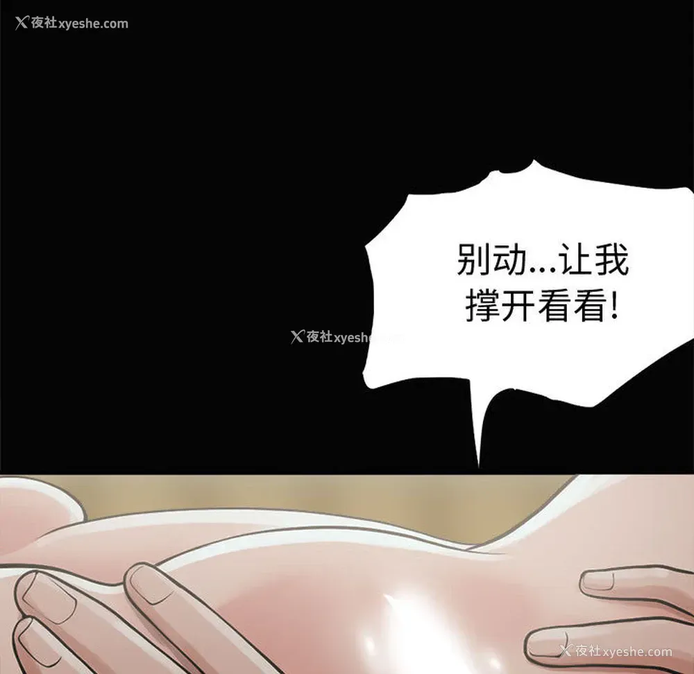 82P - 孤岛拼图
