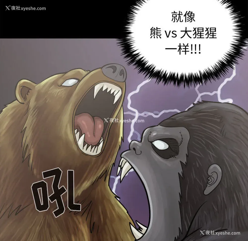 55P - 孤岛拼图