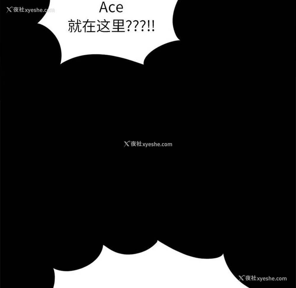 142P - 孤岛拼图