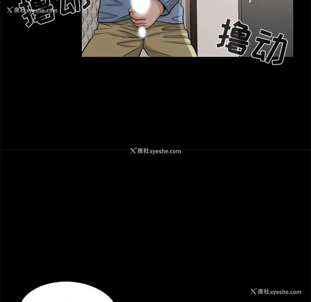 102P - 孤岛拼图