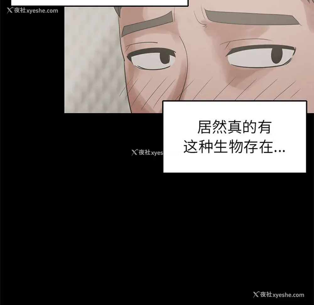 23P - 孤岛拼图