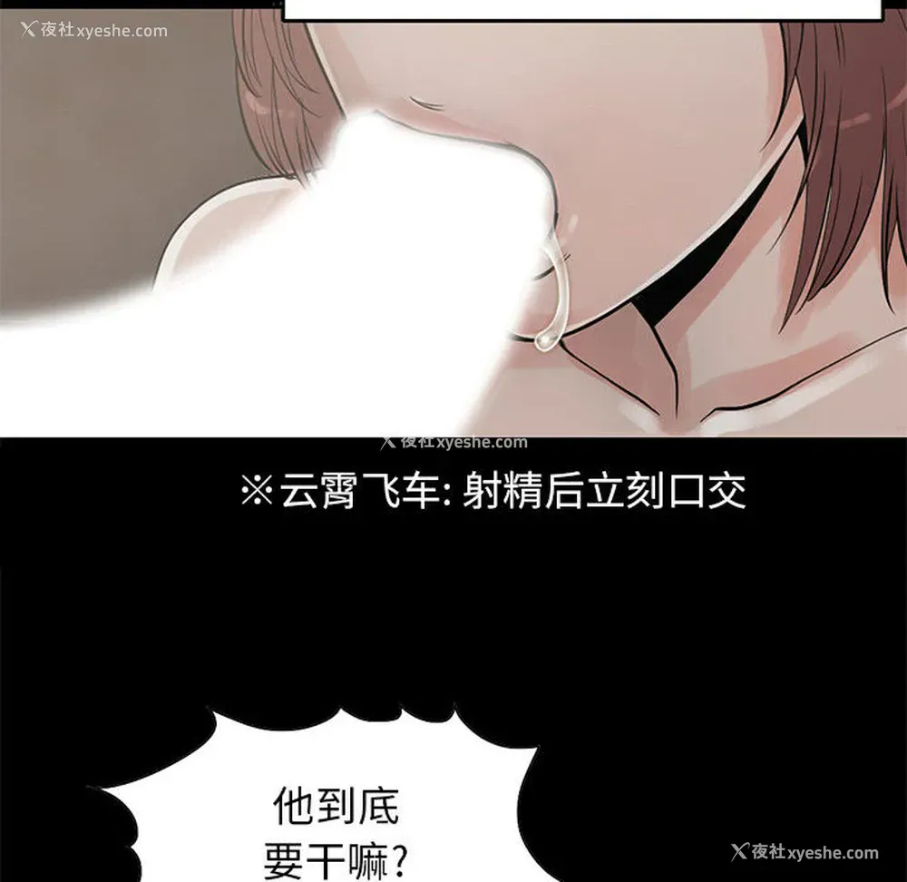 8P - 孤岛拼图