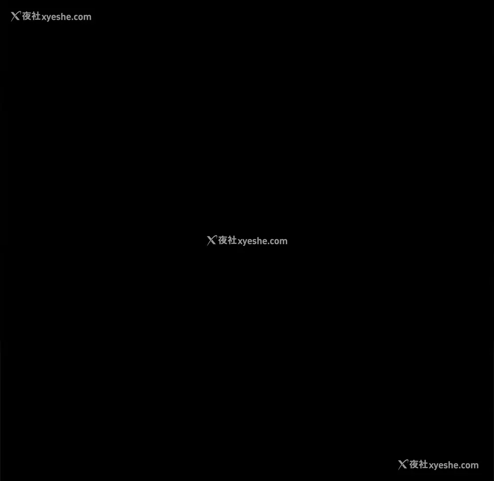 11P - 孤岛拼图