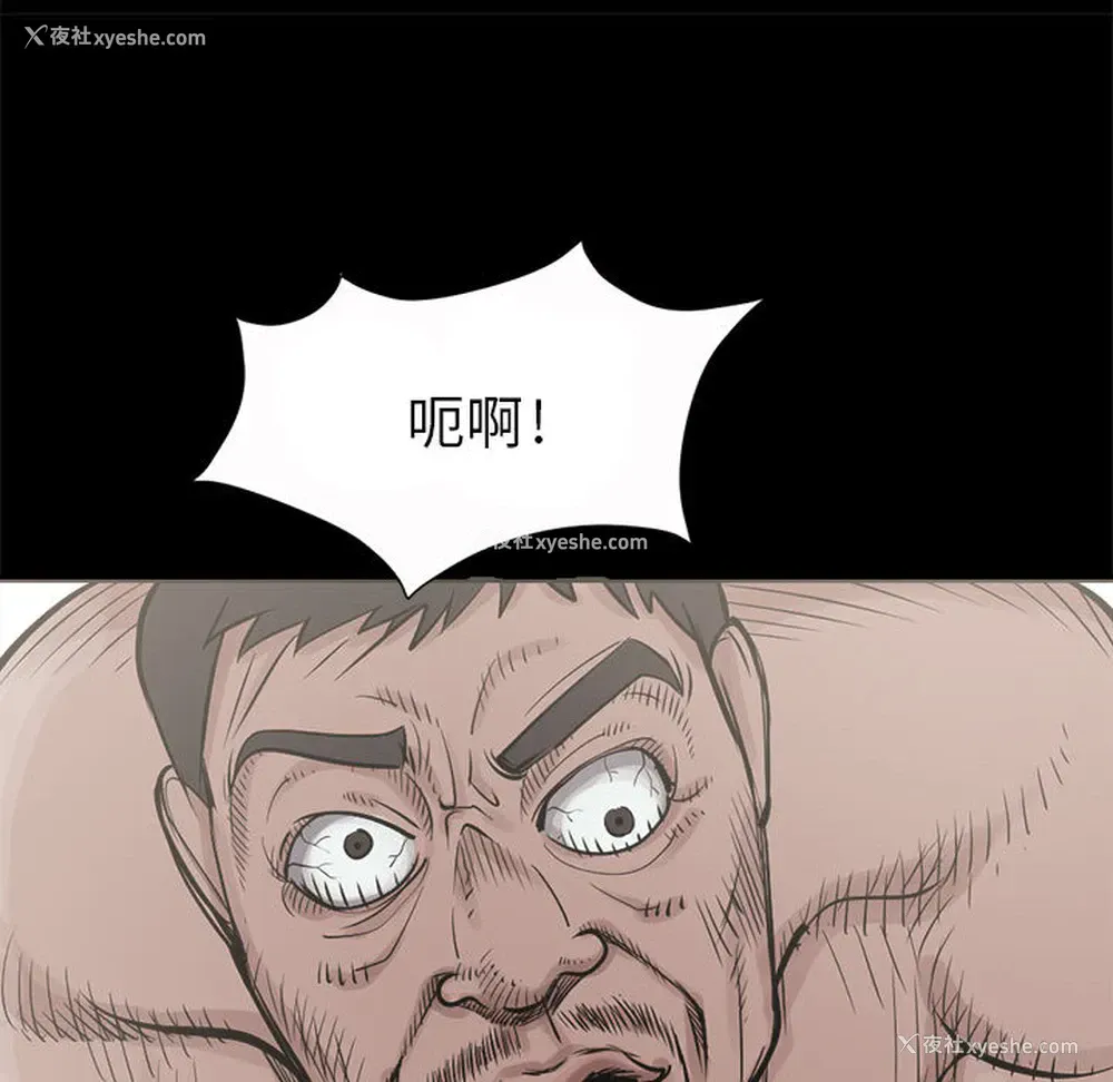 20P - 孤岛拼图