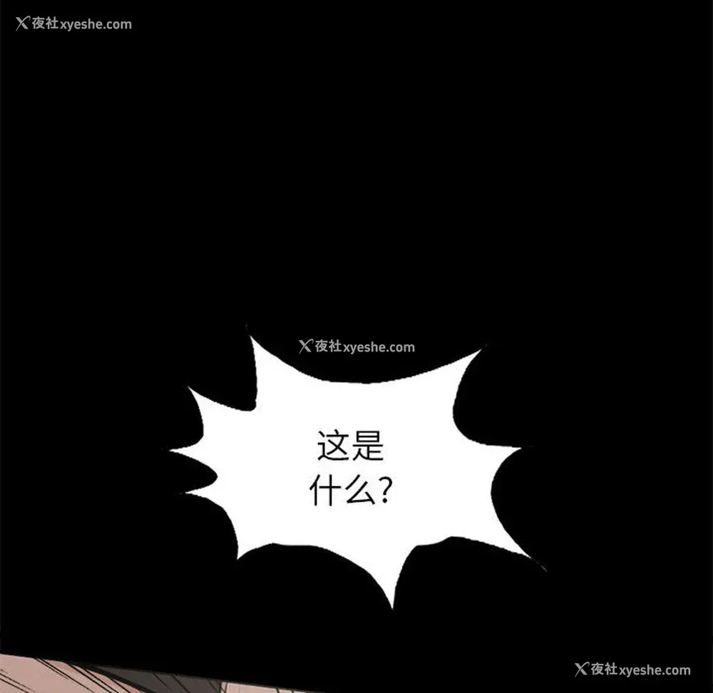 39P - 孤岛拼图
