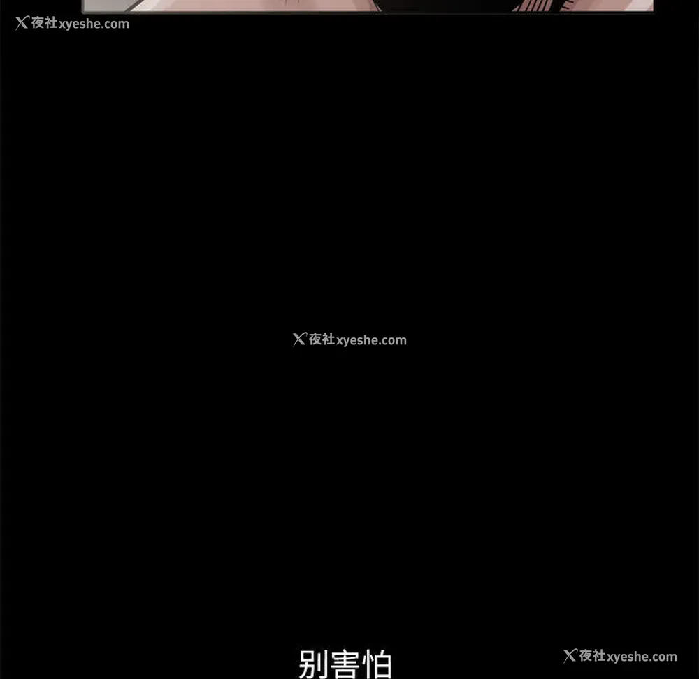 5P - 孤岛拼图