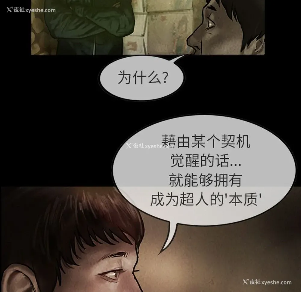 13P - 孤岛拼图