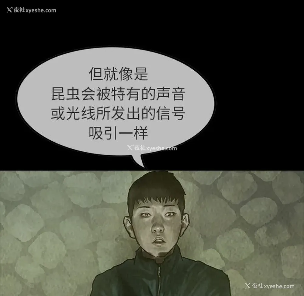 21P - 孤岛拼图