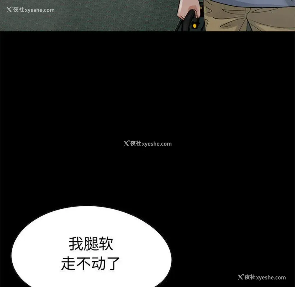 81P - 孤岛拼图