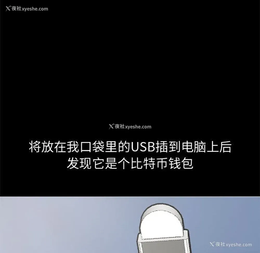 242P - 孤岛拼图