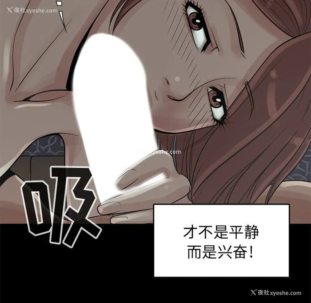 32P - 孤岛拼图