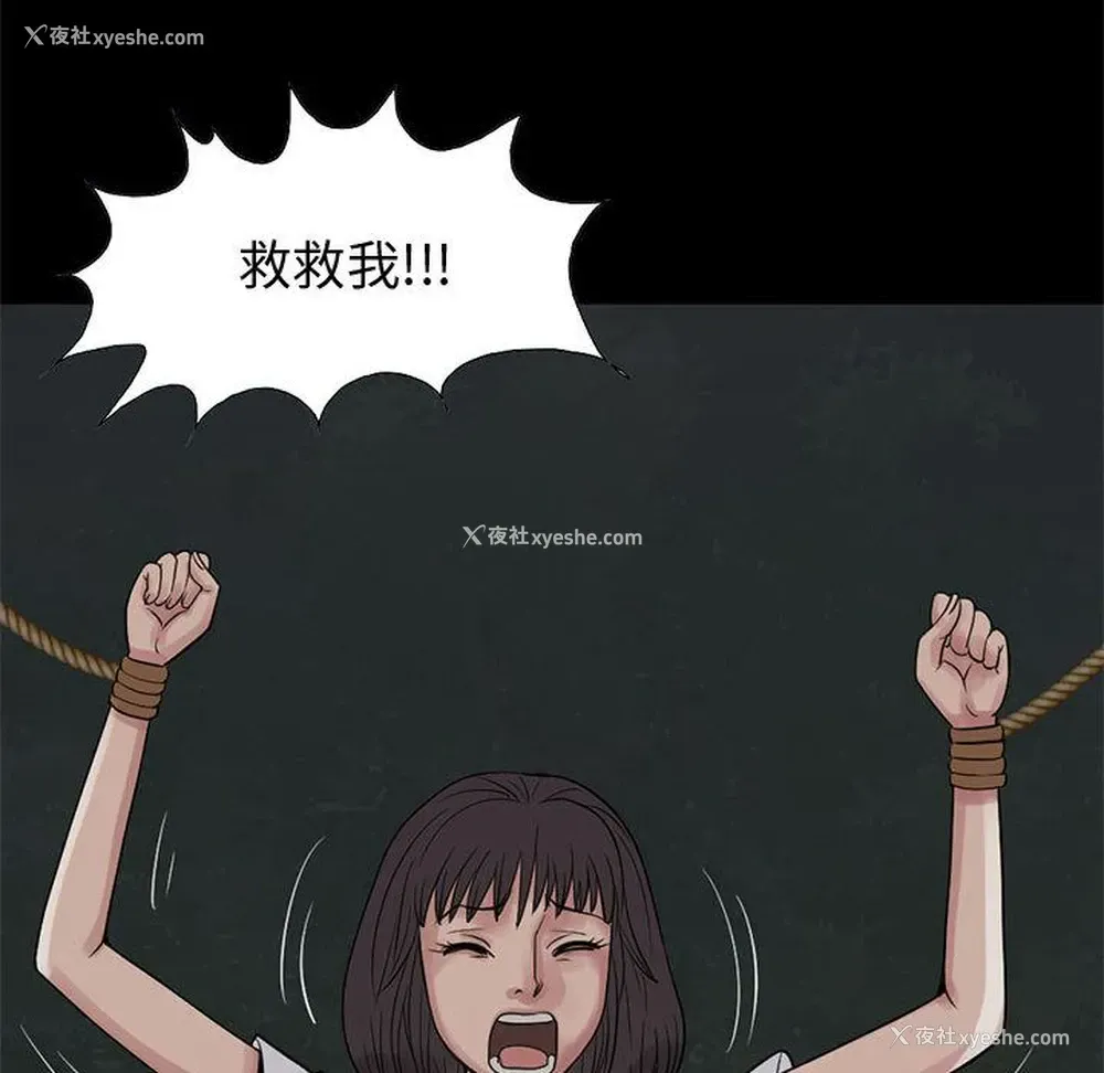 67P - 孤岛拼图