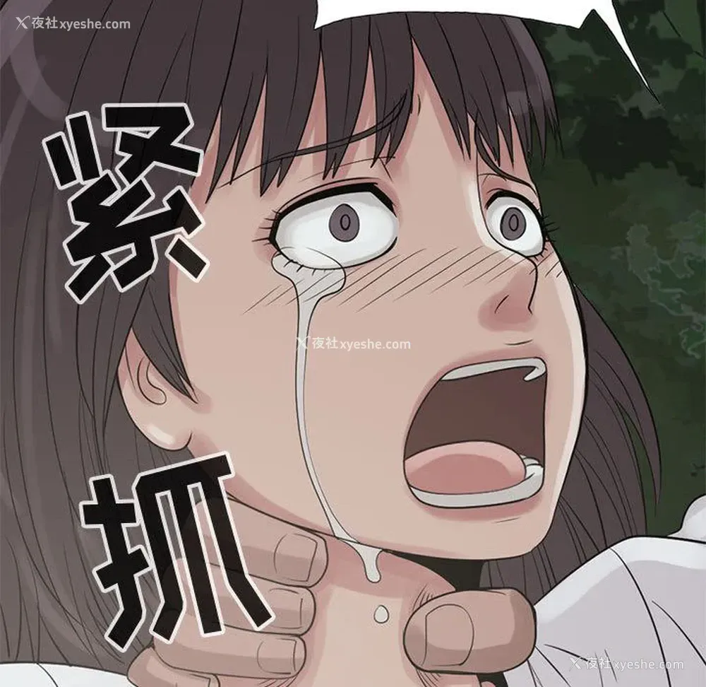 78P - 孤岛拼图