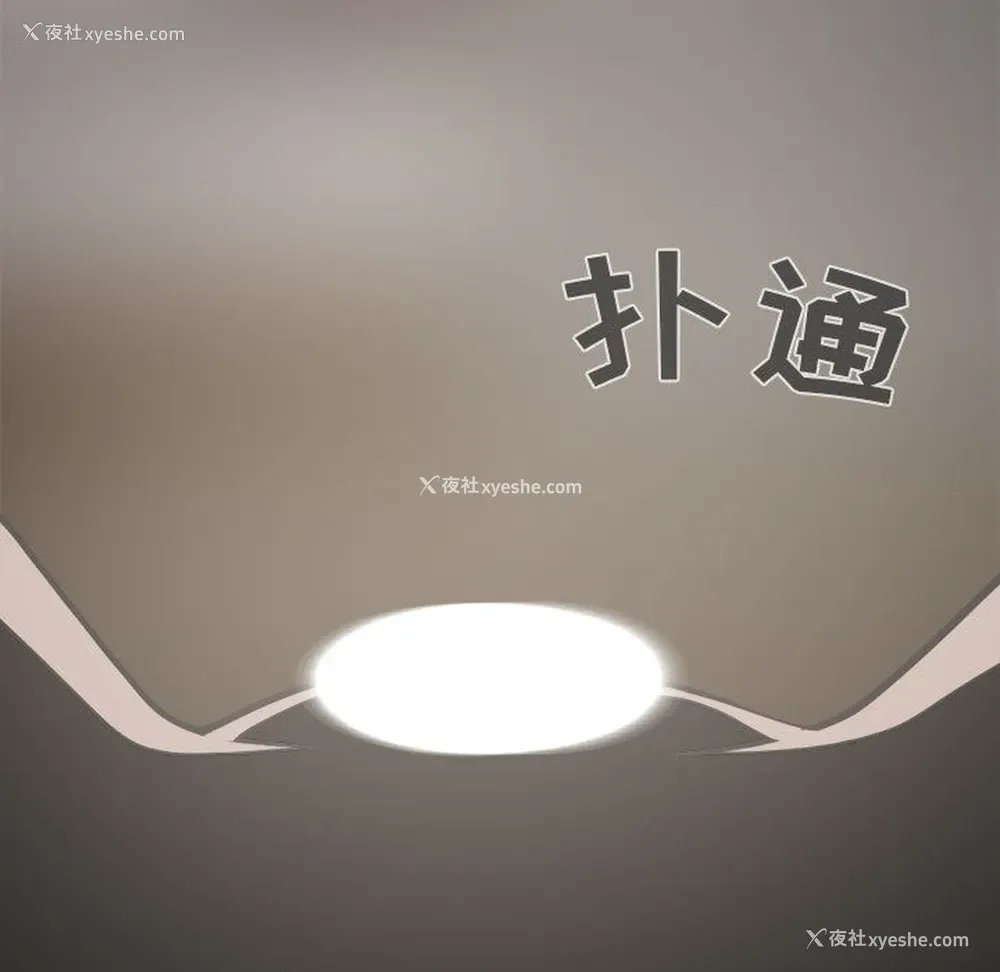 116P - 孤岛拼图