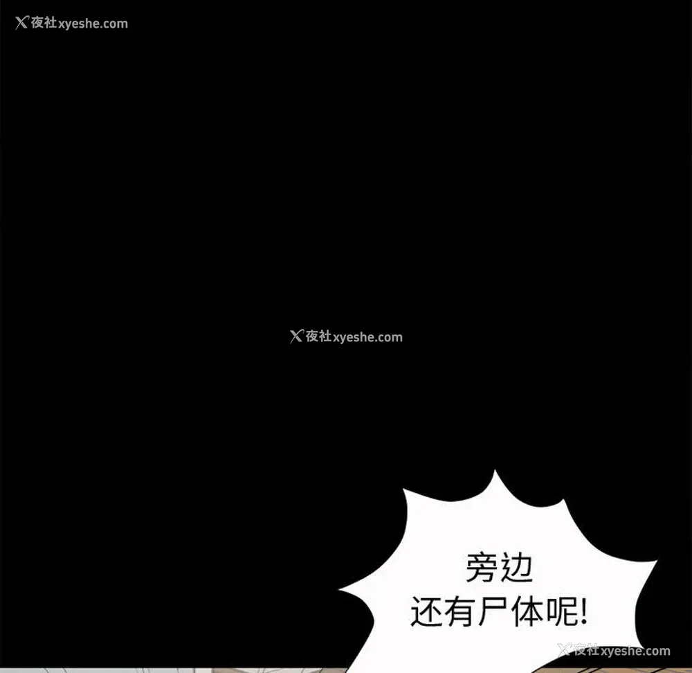 110P - 孤岛拼图