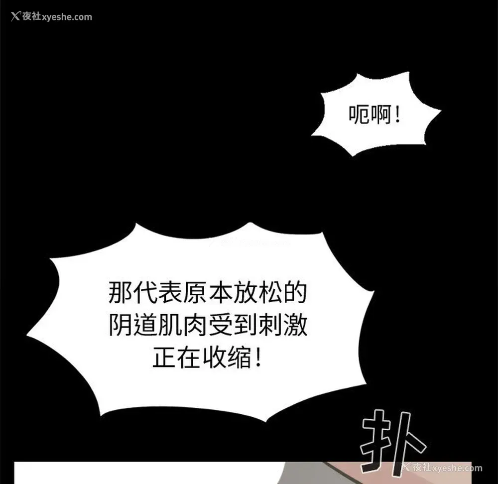 28P - 孤岛拼图