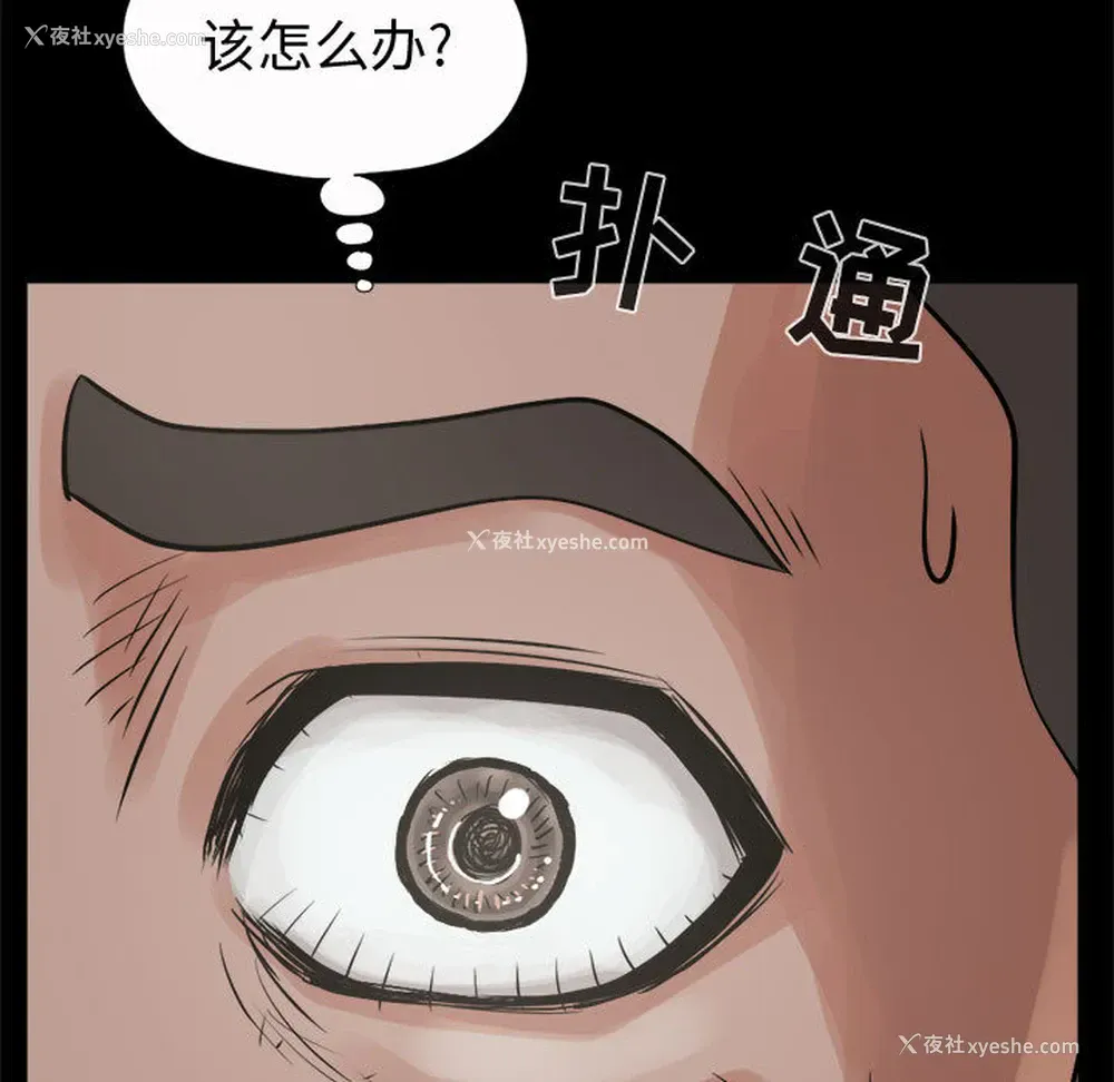 19P - 孤岛拼图