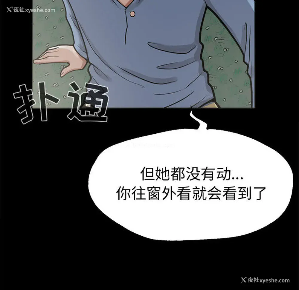 28P - 孤岛拼图