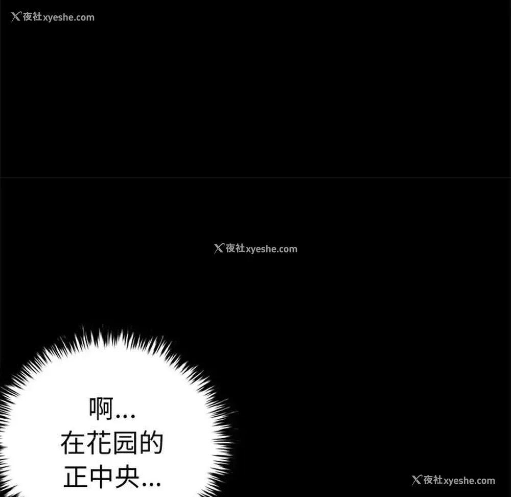 78P - 孤岛拼图