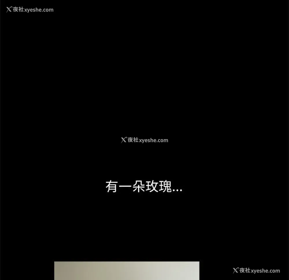 80P - 孤岛拼图