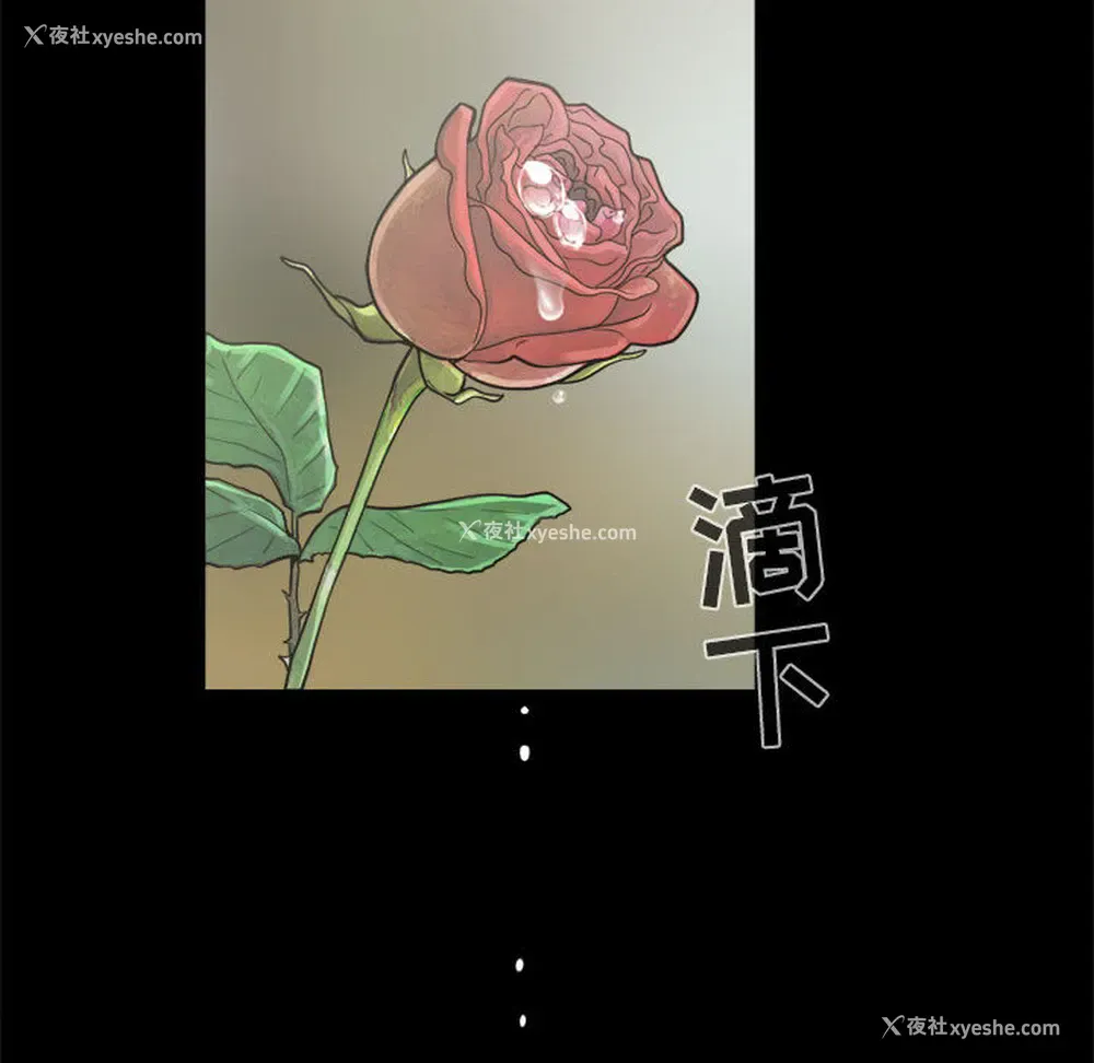 81P - 孤岛拼图