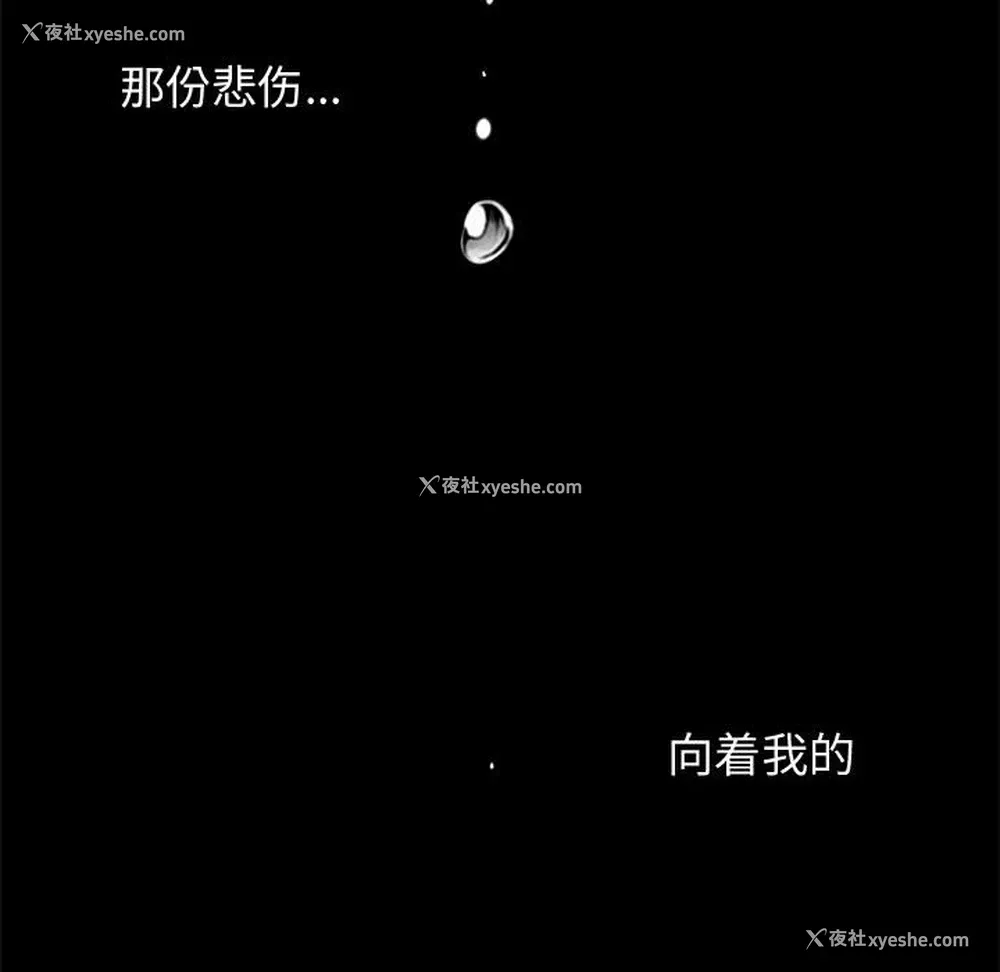 83P - 孤岛拼图