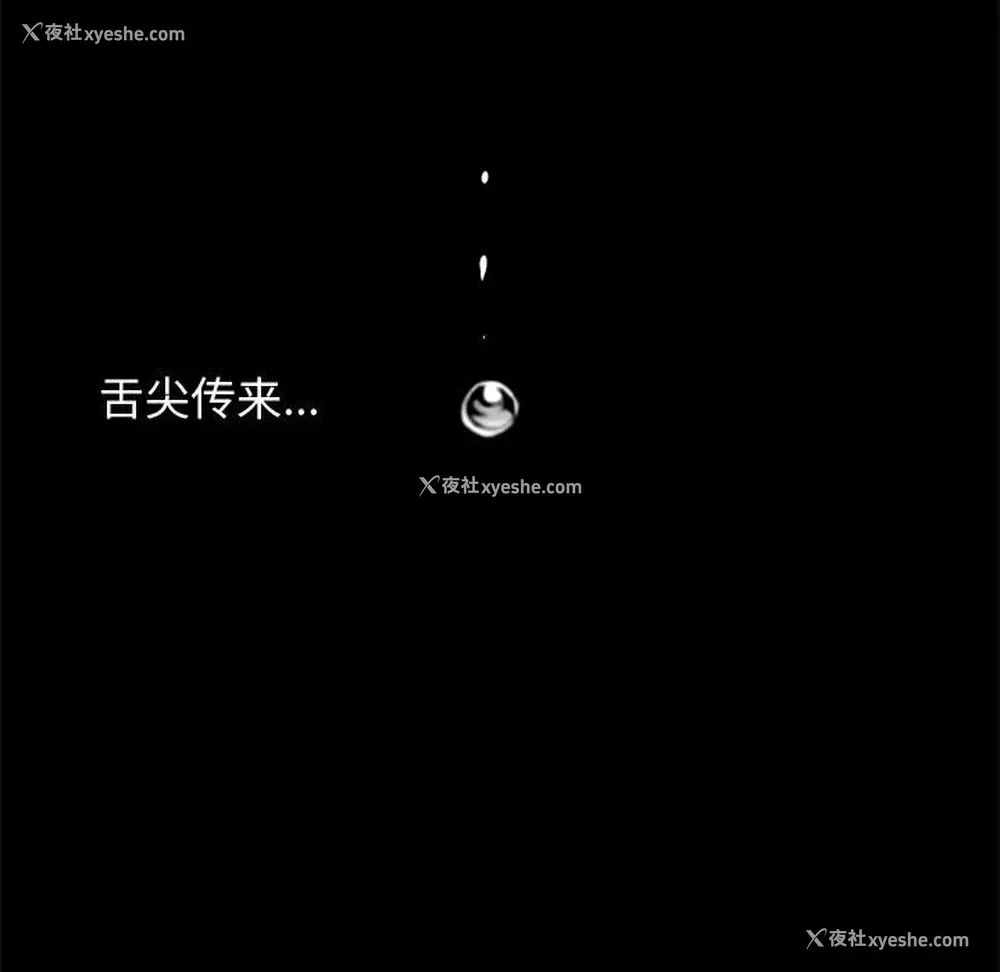 84P - 孤岛拼图