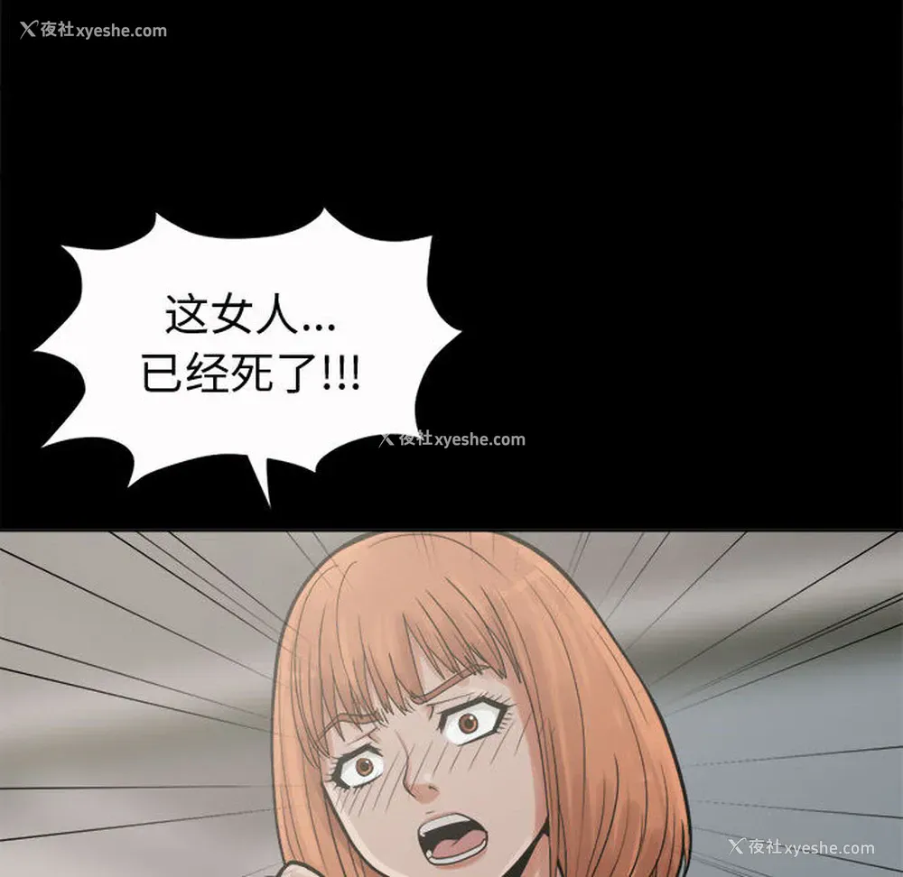 26P - 孤岛拼图