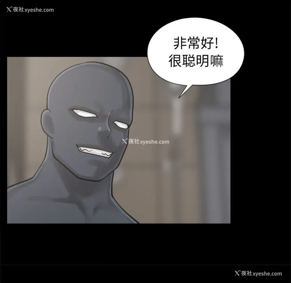 26P - 孤岛拼图