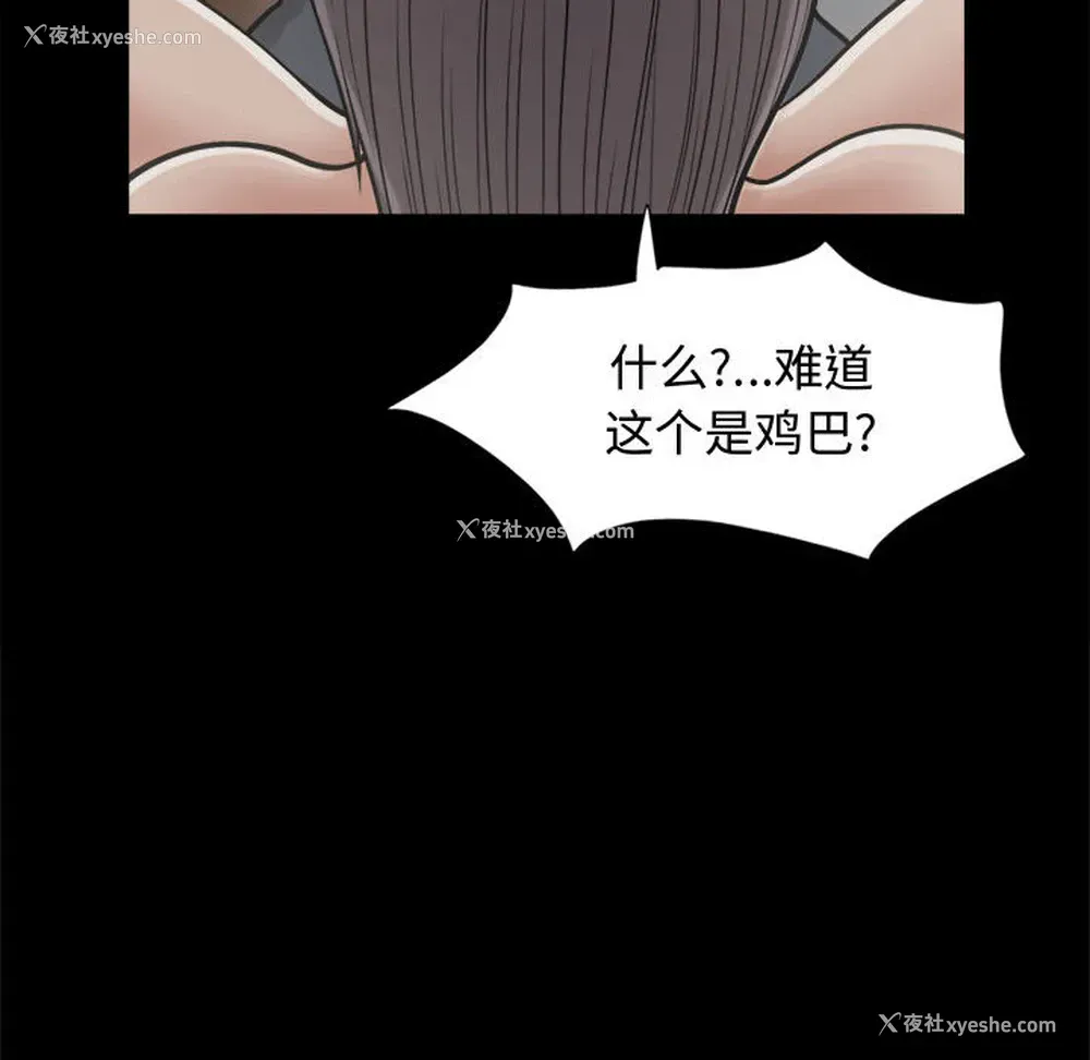 40P - 孤岛拼图