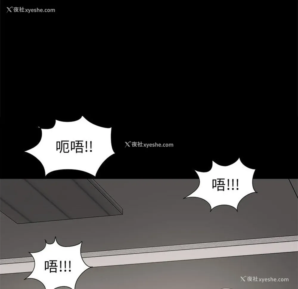 46P - 孤岛拼图