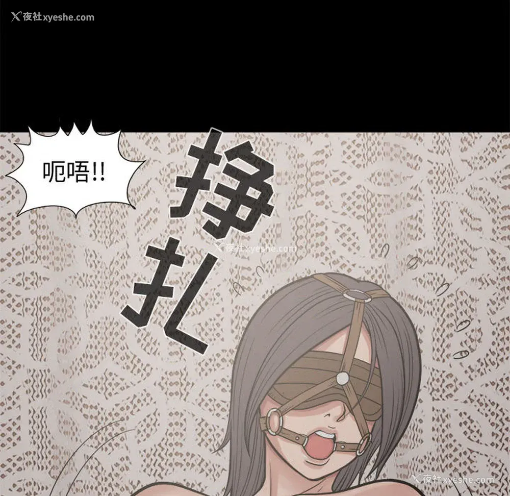 48P - 孤岛拼图