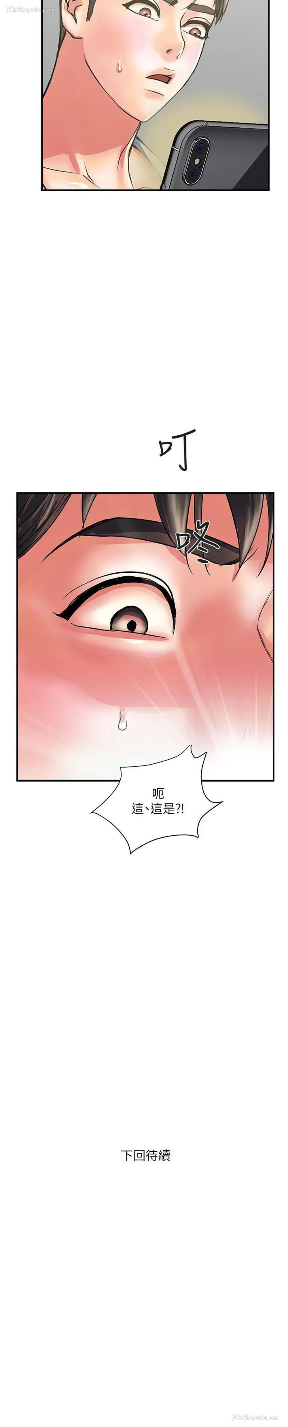 31P - 行走费洛蒙