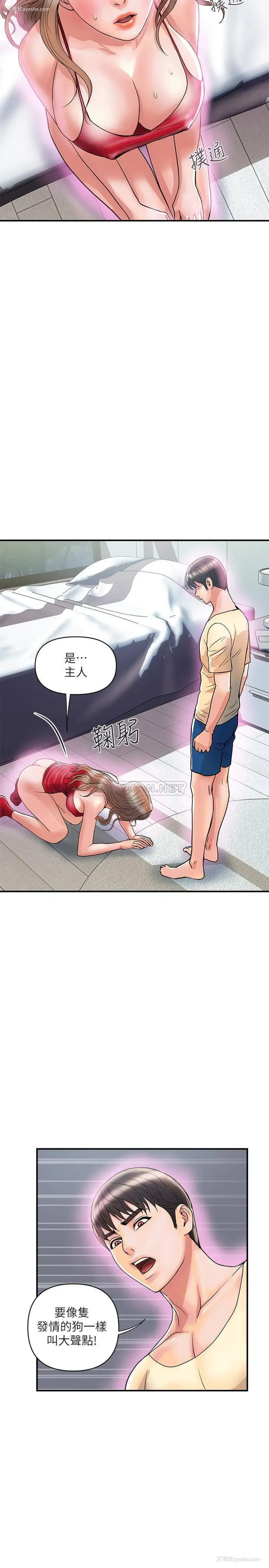 21P - 行走费洛蒙