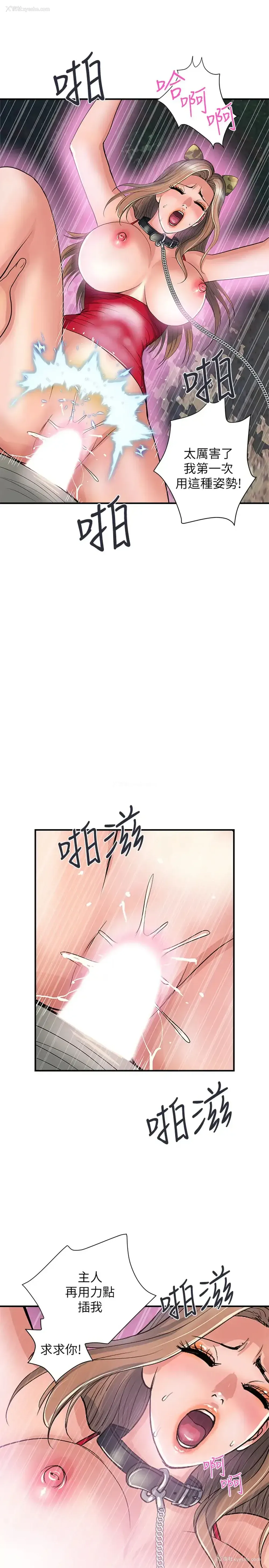 19P - 行走费洛蒙