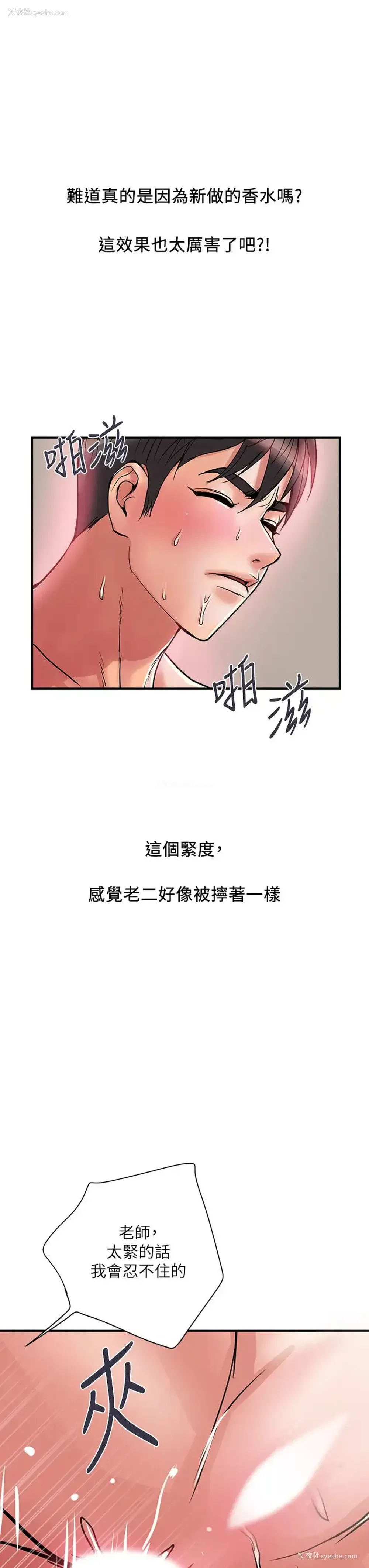 15P - 行走费洛蒙