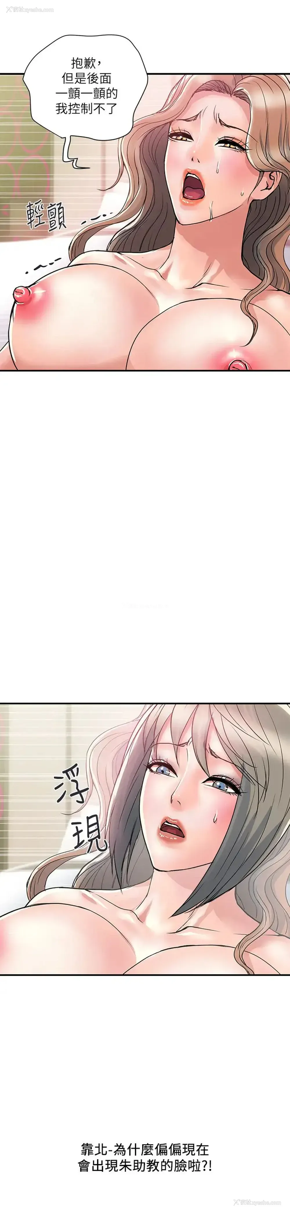 17P - 行走费洛蒙