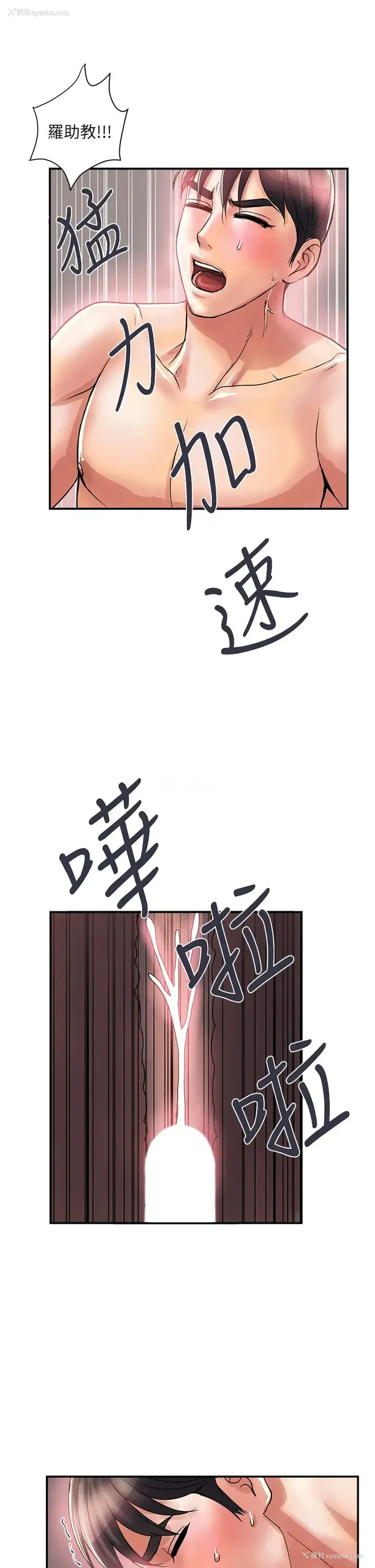 29P - 行走费洛蒙