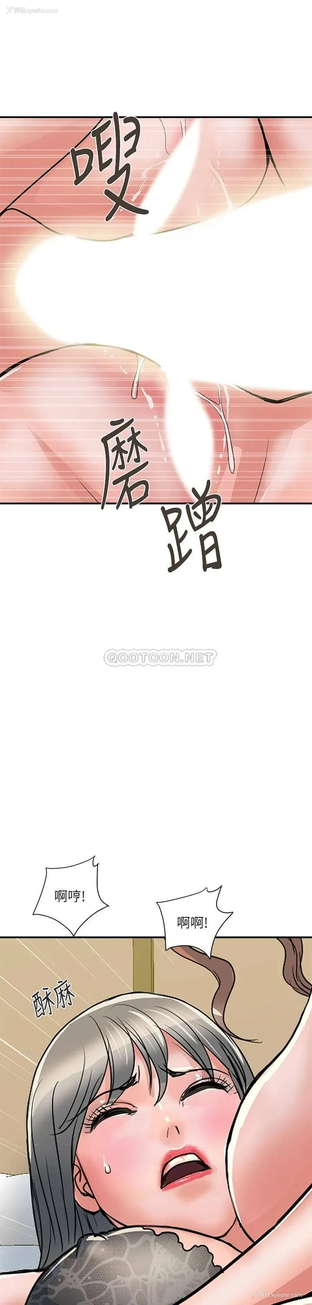 29P - 行走费洛蒙