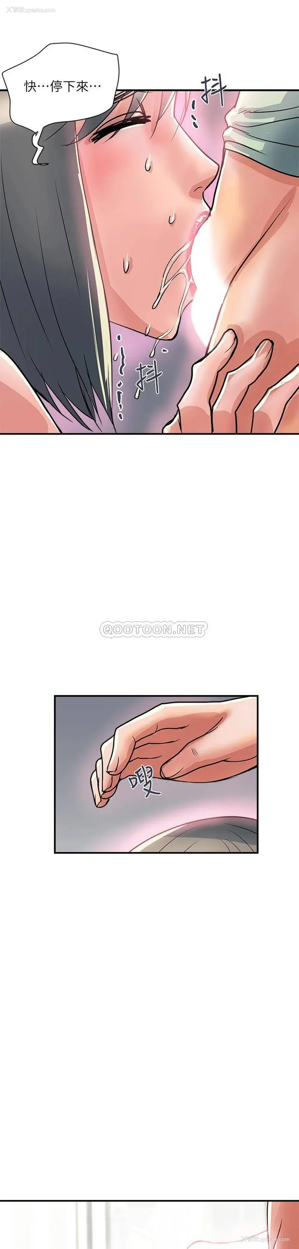 17P - 行走费洛蒙