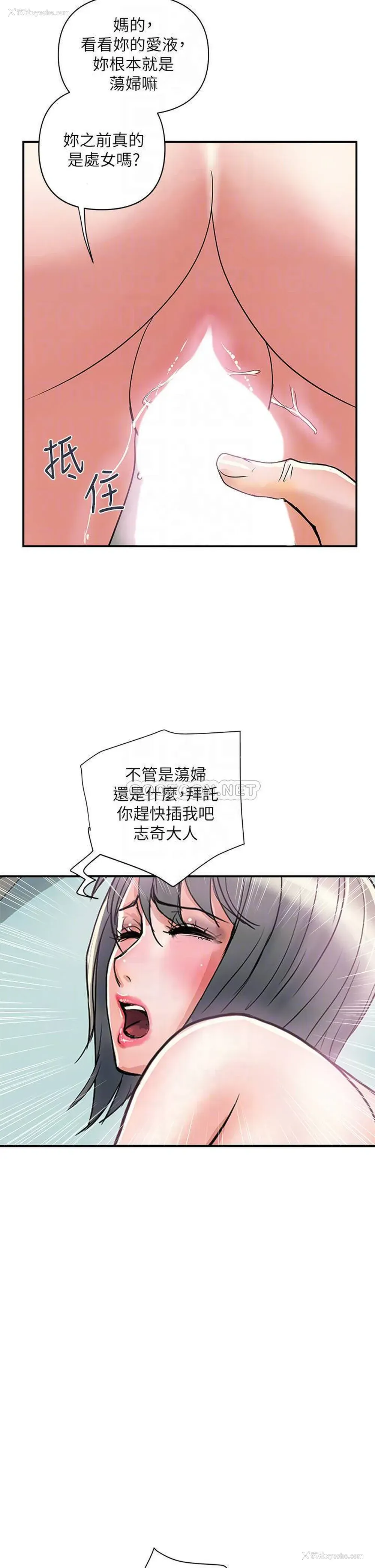 14P - 行走费洛蒙