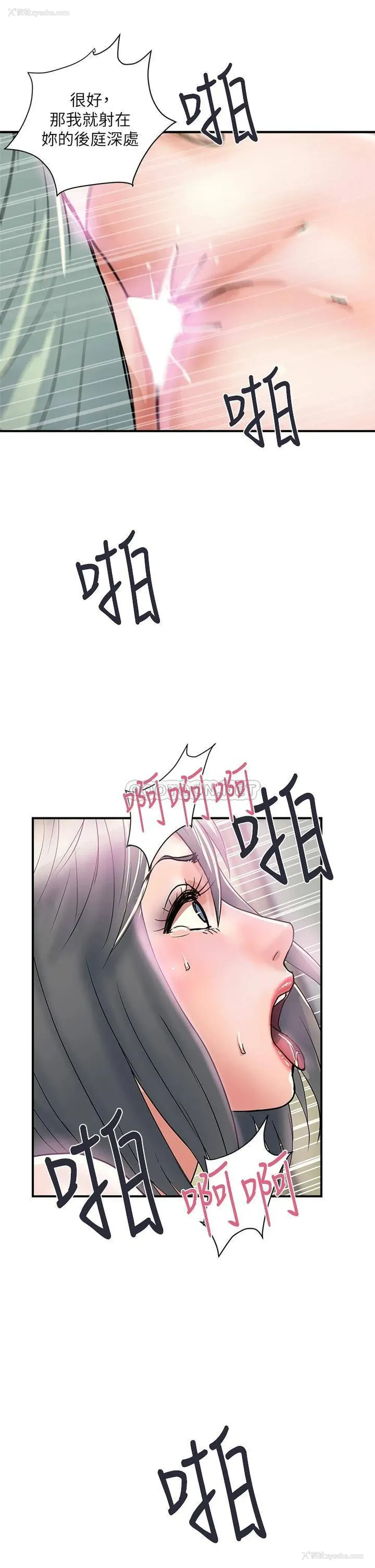 41P - 行走费洛蒙