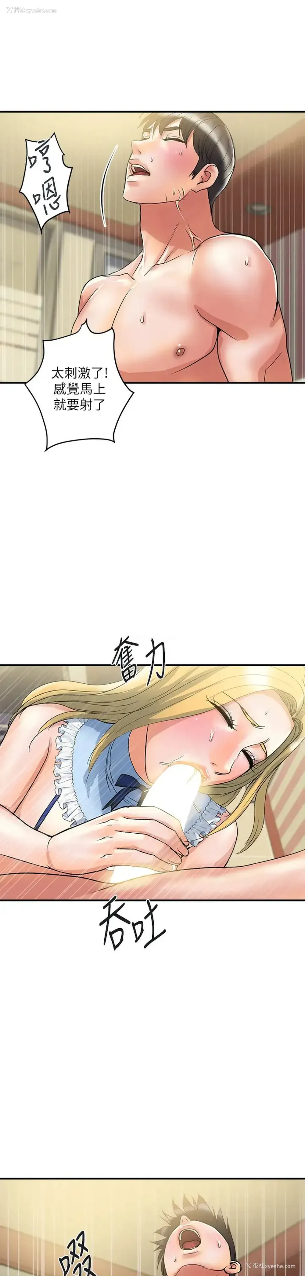 33P - 行走费洛蒙