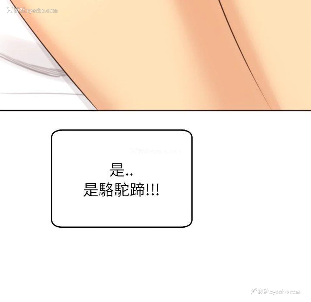 156P - 现成老爸
