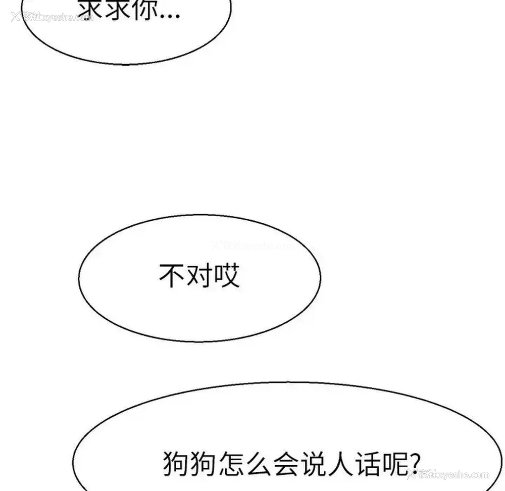 121P - 教义