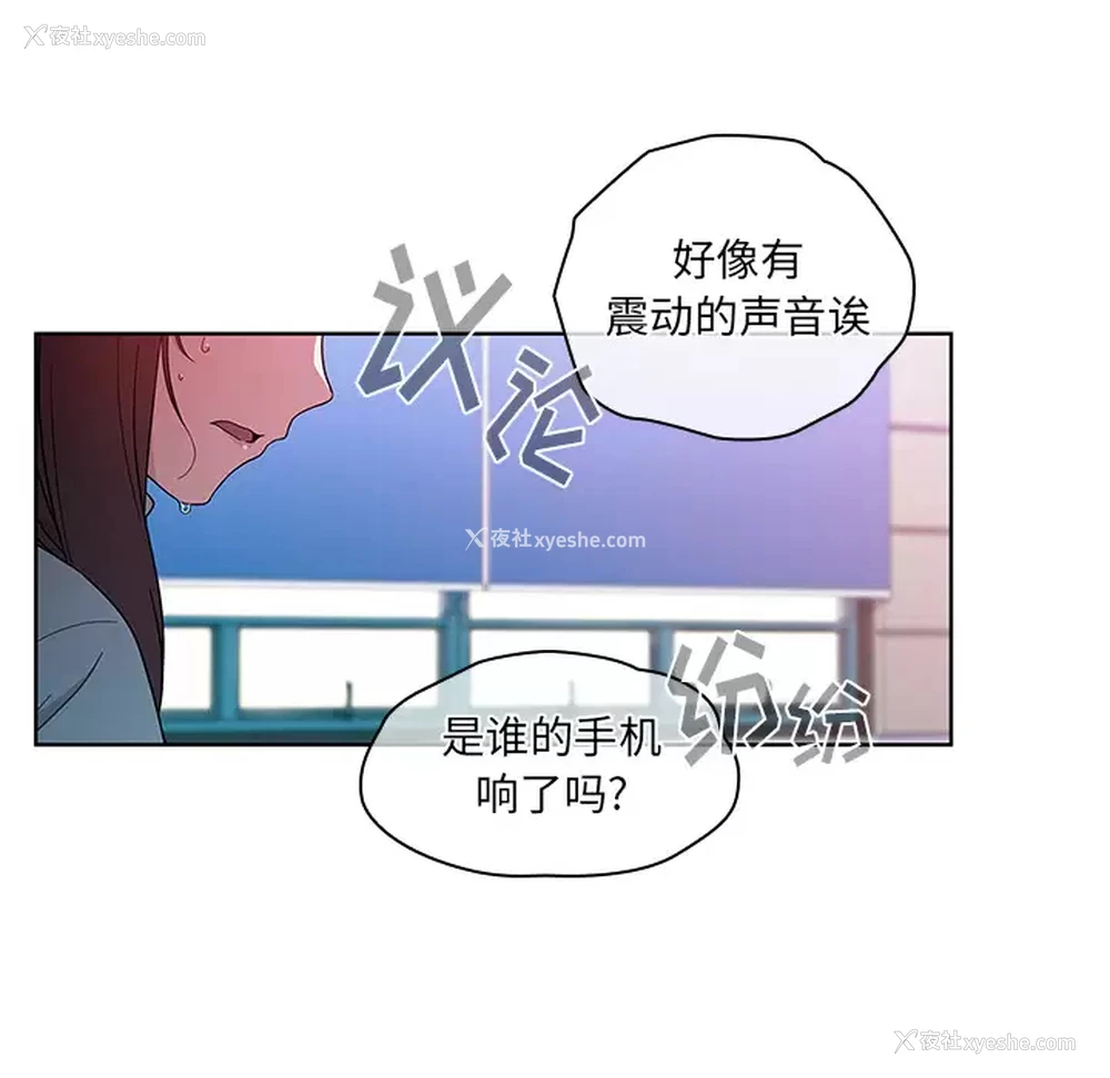 12P - 调教开关